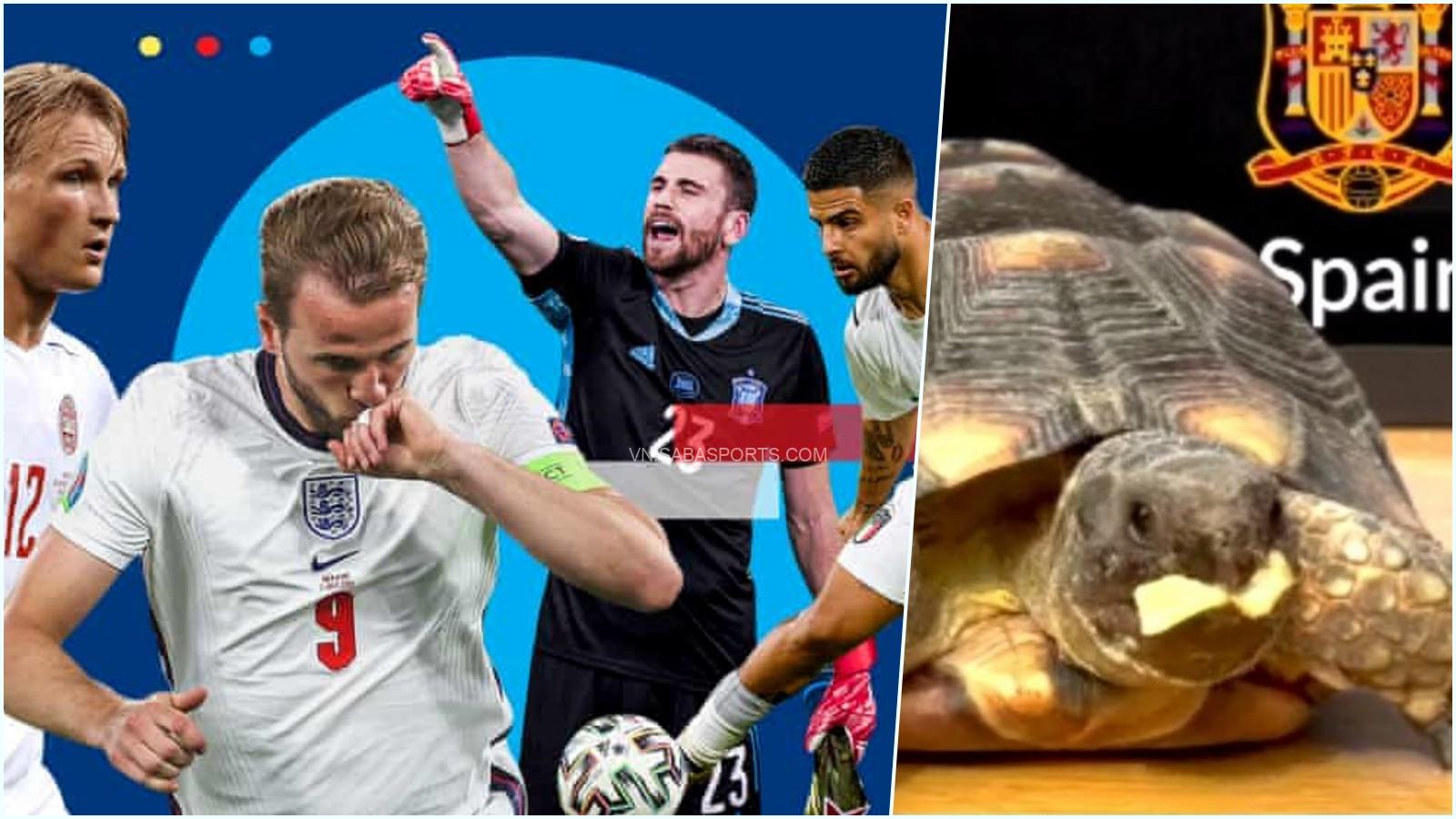 Siêu máy tính và Rùa tiên tri có cùng kết quả dự đoán bán kết Euro 2020