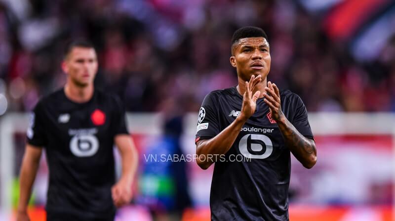 Lille đang trên đường tìm lại chính mình