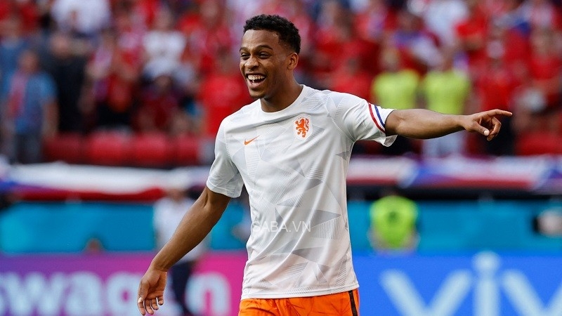 Timber chưa quyết định về tương lai